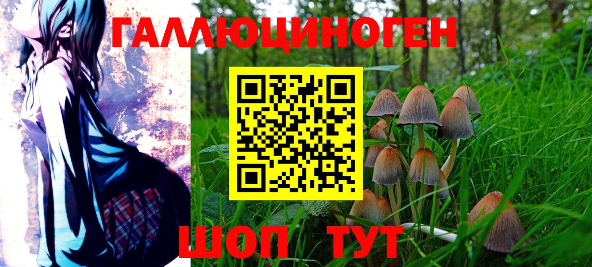 Псилоцибиновые грибы Cubensis Новодвинск