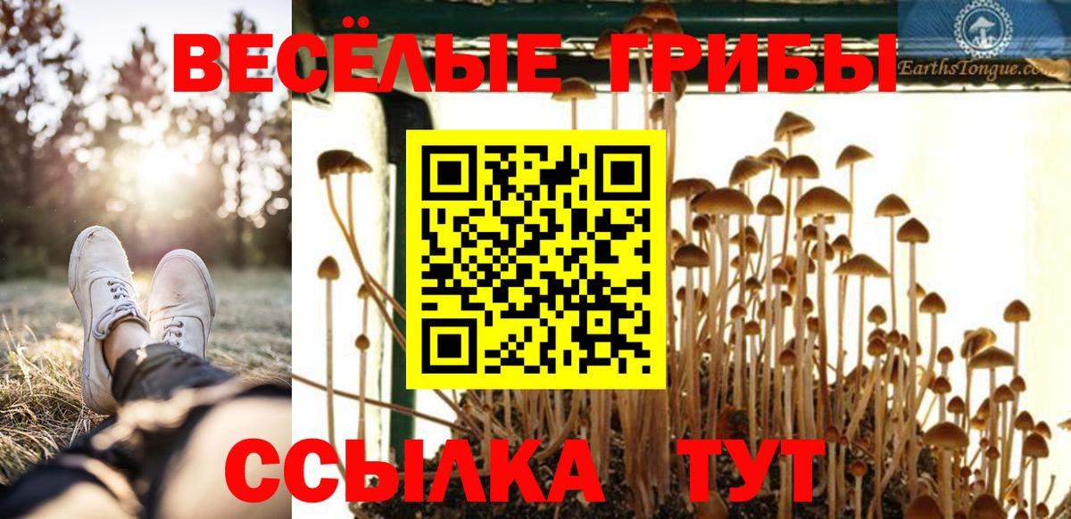 Галлюциногенные грибы Psilocybine cubensis  Вход с VPN  Новодвинск 