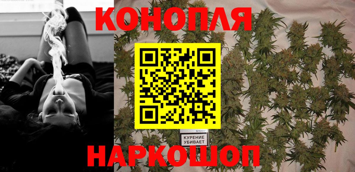 Шишки марихуана семена Новодвинск